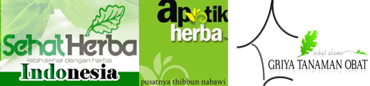 produsen herbal indonesia dan tanaman obat tradisional