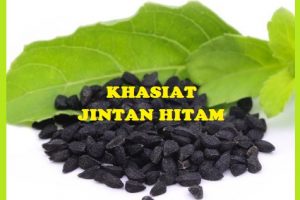 Khasiat Jintan Hitam