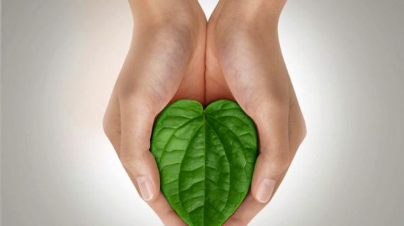 Mengobati Masalah Kewanitaan dengan Herbal Alami