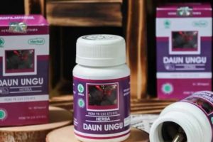 Mengobati Ambeien Dengan Daun Ungu